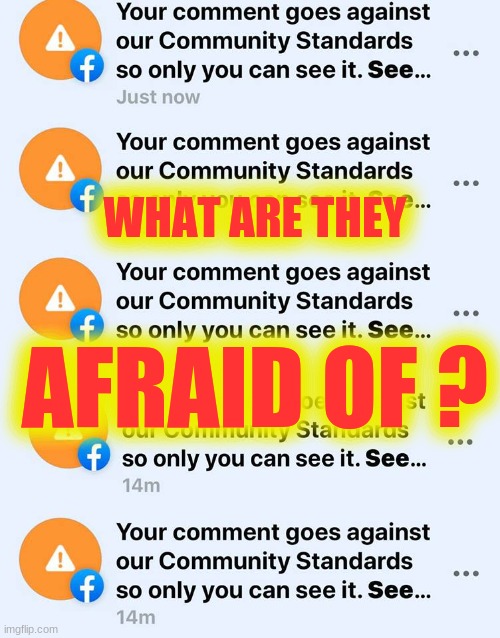 WHAT ARE THEY; AFRAID OF ? | image tagged in facebook community standards,facebook,censorship,government corruption,mark zuckerberg,lizards | made w/ Imgflip meme maker