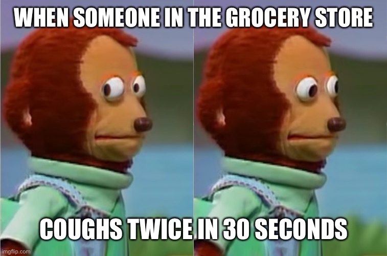 puppet Monkey looking away | WHEN SOMEONE IN THE GROCERY STORE; COUGHS TWICE IN 30 SECONDS | image tagged in puppet monkey looking away | made w/ Imgflip meme maker