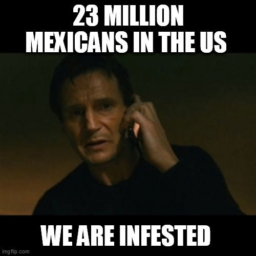 Liam Neeson Taken Meme | 23 MILLION MEXICANS IN THE US; WE ARE INFESTED | image tagged in memes,liam neeson taken | made w/ Imgflip meme maker