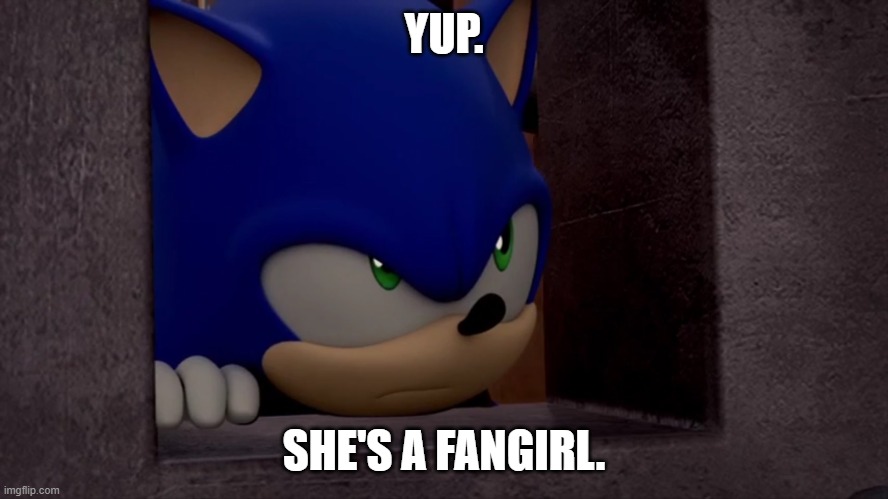 Sonic is Not Impressed - Sonic Boom | YUP. SHE'S A FANGIRL. | image tagged in sonic is not impressed - sonic boom | made w/ Imgflip meme maker