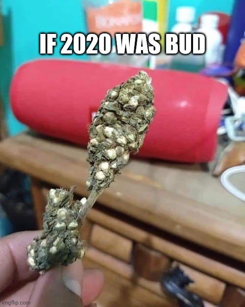 IF 2020 WAS BUD | image tagged in marijuana,weed,2020 | made w/ Imgflip meme maker