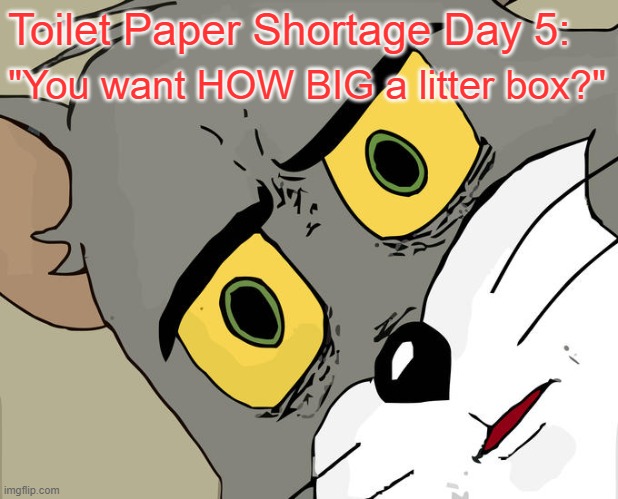 Unsettled Tom Meme | Toilet Paper Shortage Day 5:; "You want HOW BIG a litter box?" | image tagged in memes,unsettled tom | made w/ Imgflip meme maker