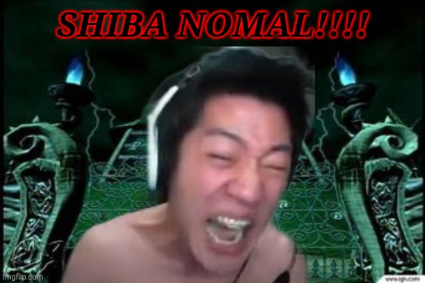 Angry Korean Gamer The Video Game - Game Over Screen | SHIBA NOMAL!!!! | image tagged in memes,angry korean gamer,funny,game over | made w/ Imgflip meme maker