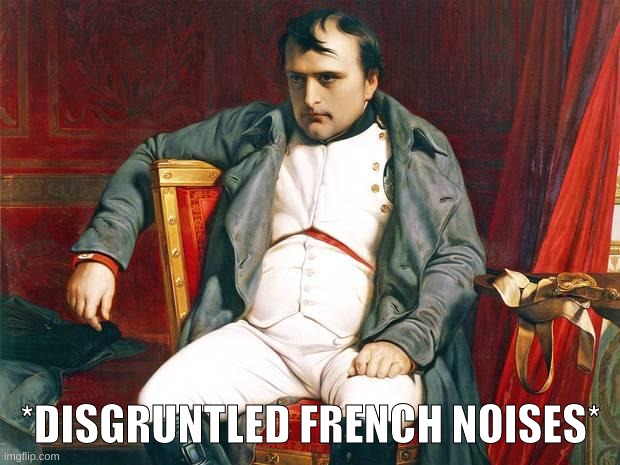 Bored Napoleon | *DISGRUNTLED FRENCH NOISES* | image tagged in bored napoleon | made w/ Imgflip meme maker
