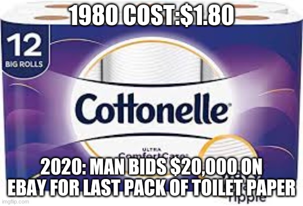 :( | 1980 COST:$1.80; 2020: MAN BIDS $20,000 ON EBAY FOR LAST PACK OF TOILET PAPER | image tagged in coronavirus,corona virus | made w/ Imgflip meme maker