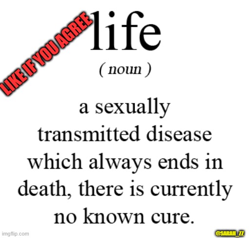 Meaning of Life | LIKE IF YOU AGREE; @SARAH_ZZ | image tagged in meaning of life | made w/ Imgflip meme maker