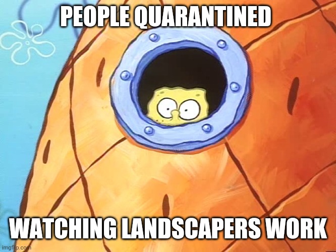 Spongebob Peek Window | PEOPLE QUARANTINED; WATCHING LANDSCAPERS WORK | image tagged in spongebob peek window | made w/ Imgflip meme maker