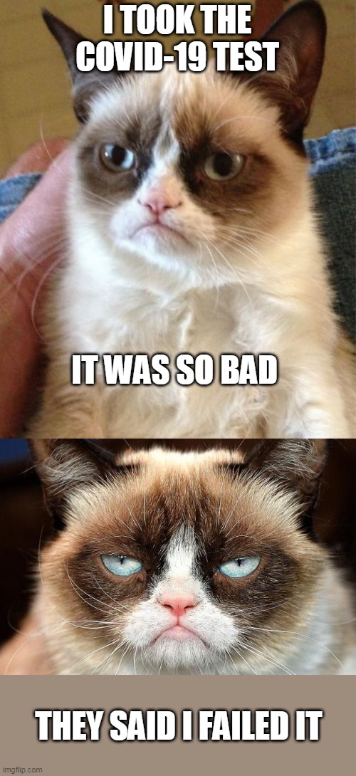 WORST TEST EVER! | I TOOK THE COVID-19 TEST; IT WAS SO BAD; THEY SAID I FAILED IT | image tagged in memes,grumpy cat,grumpy cat not amused,covid-19,coronavirus | made w/ Imgflip meme maker