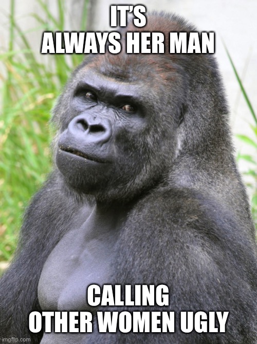 Hot Gorilla  | IT’S ALWAYS HER MAN; CALLING OTHER WOMEN UGLY | image tagged in hot gorilla | made w/ Imgflip meme maker