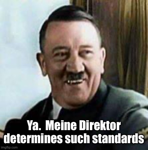 laughing hitler | Ya.  Meine Direktor determines such standards | image tagged in laughing hitler | made w/ Imgflip meme maker