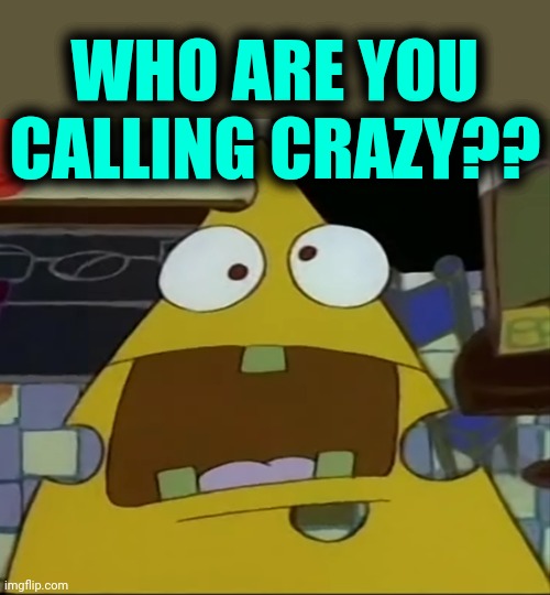 I am the cheese | WHO ARE YOU CALLING CRAZY?? | image tagged in i am the cheese | made w/ Imgflip meme maker