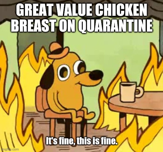Kung Flu chicken | GREAT VALUE CHICKEN BREAST ON QUARANTINE; It's fine, this is fine. | image tagged in its fine,quarantine,chicken,kung fu | made w/ Imgflip meme maker