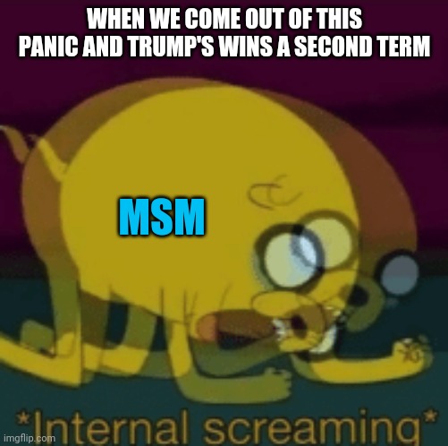 Jake The Dog Internal Screaming | WHEN WE COME OUT OF THIS PANIC AND TRUMP'S WINS A SECOND TERM MSM | image tagged in jake the dog internal screaming | made w/ Imgflip meme maker