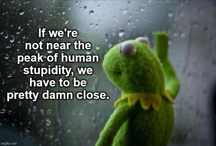 We underestimate the stupid, and we do so at our own peril. | If we're not near the peak of human stupidity, we have to be pretty damn close. | image tagged in sad kermit | made w/ Imgflip meme maker