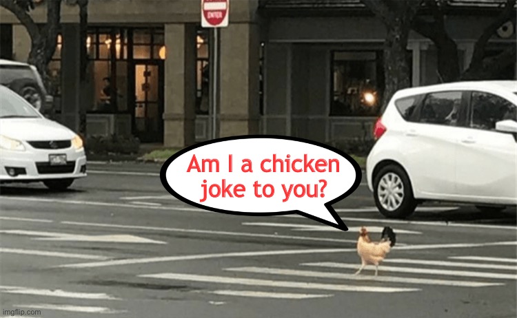 Am I a chicken joke to you? | image tagged in why did the chicken cross the road,am i a joke to you,memes,funny | made w/ Imgflip meme maker