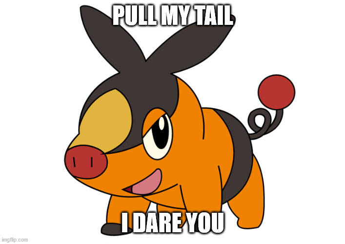 Pull my tail | PULL MY TAIL; I DARE YOU | image tagged in pull my finger,tepig,pokemon,farts | made w/ Imgflip meme maker