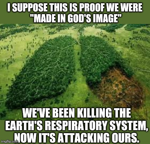 COVID Gods Image | I SUPPOSE THIS IS PROOF WE WERE
 "MADE IN GOD'S IMAGE"; WE'VE BEEN KILLING THE EARTH'S RESPIRATORY SYSTEM,
NOW IT'S ATTACKING OURS. | image tagged in covid-19,covid19,coronavirus,quarantine,social distancing | made w/ Imgflip meme maker