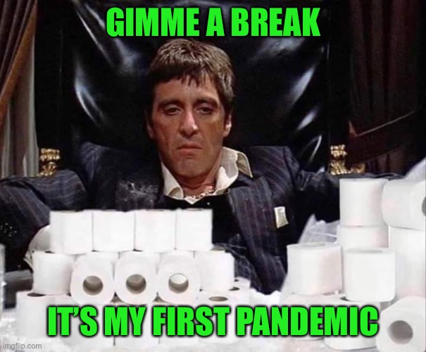 Scarface Stash | GIMME A BREAK IT’S MY FIRST PANDEMIC | image tagged in scarface stash | made w/ Imgflip meme maker