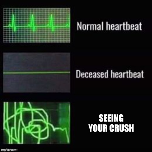 Heartbeat comparisons | SEEING YOUR CRUSH | image tagged in heartbeat comparisons | made w/ Imgflip meme maker