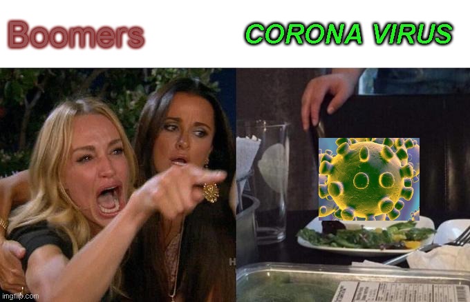 Woman Yelling At Cat Meme | Boomers; CORONA VIRUS | image tagged in memes,woman yelling at cat | made w/ Imgflip meme maker