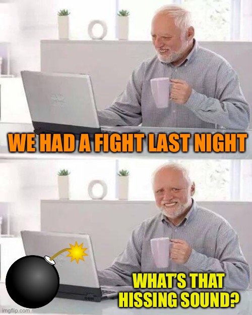 Hide the Pain Harold Meme | WE HAD A FIGHT LAST NIGHT WHAT’S THAT HISSING SOUND? | image tagged in memes,hide the pain harold | made w/ Imgflip meme maker