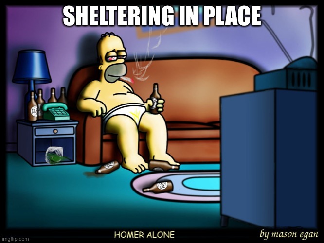 Homer Alone | SHELTERING IN PLACE | image tagged in homer alone | made w/ Imgflip meme maker