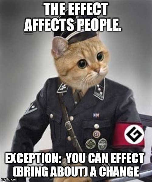 Grammar Nazi Cat | THE EFFECT AFFECTS PEOPLE. EXCEPTION:  YOU CAN EFFECT 
(BRING ABOUT) A CHANGE __ __ | image tagged in grammar nazi cat | made w/ Imgflip meme maker