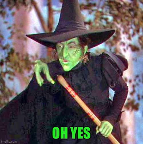 Wicked Witch | OH YES | image tagged in wicked witch | made w/ Imgflip meme maker