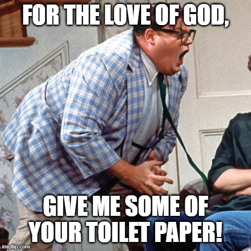 Chris Farley For the love of god | FOR THE LOVE OF GOD, GIVE ME SOME OF YOUR TOILET PAPER! | image tagged in chris farley for the love of god | made w/ Imgflip meme maker
