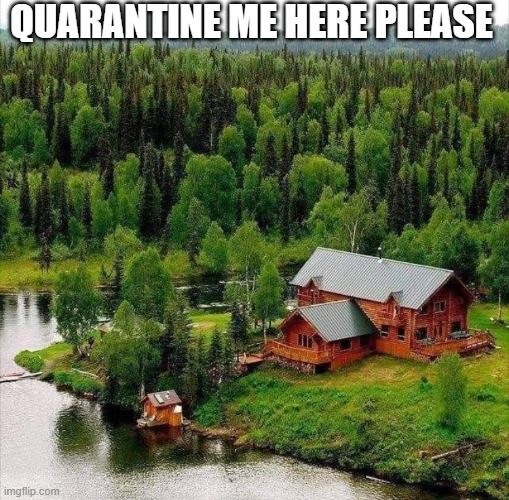 Quarantine | QUARANTINE ME HERE PLEASE | image tagged in coronavirus,quarantine,corona virus | made w/ Imgflip meme maker