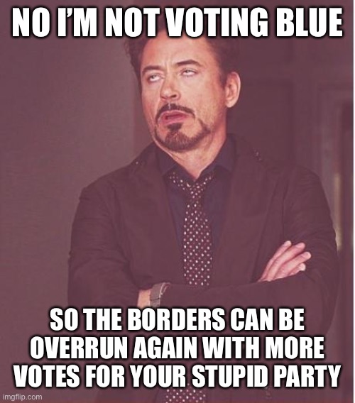 Face You Make Robert Downey Jr Meme | NO I’M NOT VOTING BLUE SO THE BORDERS CAN BE OVERRUN AGAIN WITH MORE VOTES FOR YOUR STUPID PARTY | image tagged in memes,face you make robert downey jr | made w/ Imgflip meme maker