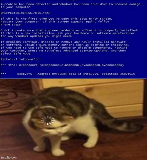 Loading cat is angry cause of the blue screen of death | image tagged in blue screen of death,loading cat,angry cat,blue screen,screen of death,angry because of the blue screen of death | made w/ Imgflip meme maker