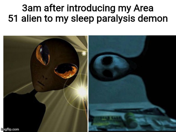 Blank White Template | 3am after introducing my Area 51 alien to my sleep paralysis demon | image tagged in blank white template | made w/ Imgflip meme maker