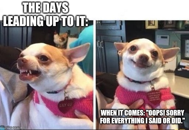 Angry Happy Chihuahua | THE DAYS LEADING UP TO IT: WHEN IT COMES: "OOPS! SORRY FOR EVERYTHING I SAID OR DID." | image tagged in angry happy chihuahua | made w/ Imgflip meme maker