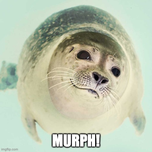 Round Seal | MURPH! | image tagged in round seal | made w/ Imgflip meme maker