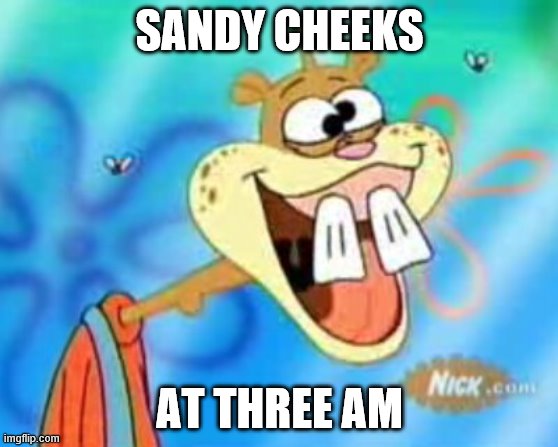 Sandy Cheeks Duhh | SANDY CHEEKS; AT THREE AM | image tagged in sandy cheeks duhh | made w/ Imgflip meme maker