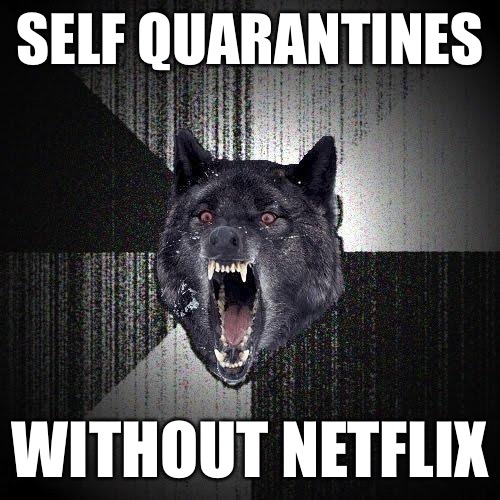 Some mellow farmers always trying to ice skate upstream. | SELF QUARANTINES; WITHOUT NETFLIX | image tagged in memes,insanity wolf,coronavirus,quarantine,streaming,netflix | made w/ Imgflip meme maker