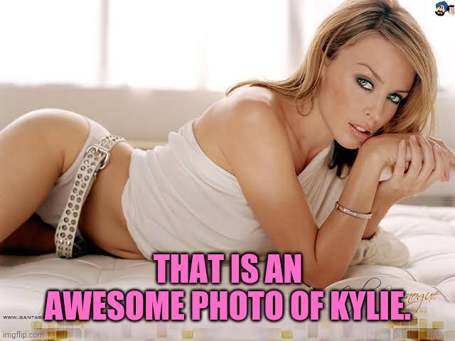 THAT IS AN AWESOME PHOTO OF KYLIE. | made w/ Imgflip meme maker