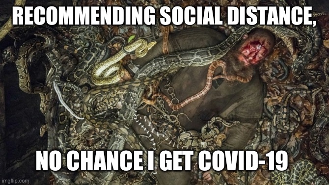 Ragnar Snake Pit | RECOMMENDING SOCIAL DISTANCE, NO CHANCE I GET COVID-19 | image tagged in ragnar snake pit | made w/ Imgflip meme maker