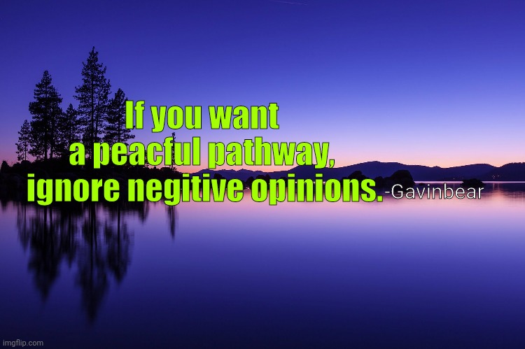 Ignore negitive opinions! | If you want a peacful pathway,

 ignore negitive opinions. -Gavinbear | image tagged in ignore negitive opinions,peaceful | made w/ Imgflip meme maker