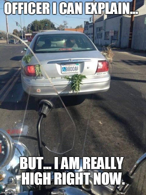 image tagged in marijuana,driving,cops,funny,fails | made w/ Imgflip meme maker