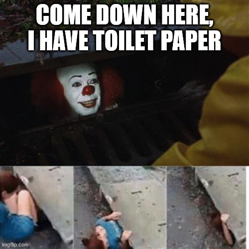 pennywise in sewer | COME DOWN HERE, I HAVE TOILET PAPER | image tagged in pennywise in sewer | made w/ Imgflip meme maker