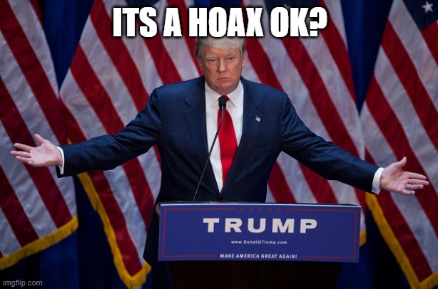 Donald Trump | ITS A HOAX OK? | image tagged in donald trump | made w/ Imgflip meme maker