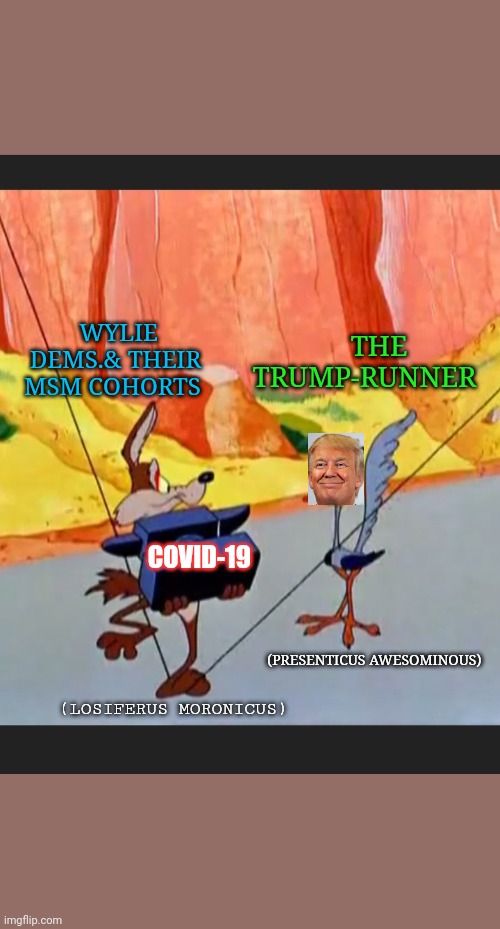 WHAT COULD GO WRONG? | THE TRUMP-RUNNER; WYLIE DEMS.& THEIR MSM COHORTS; COVID-19; (PRESENTICUS AWESOMINOUS); (LOSIFERUS MORONICUS) | image tagged in maga,goat,donald trump approves,republican party,overly manly man | made w/ Imgflip meme maker