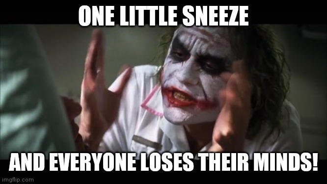 And everybody loses their minds Meme | ONE LITTLE SNEEZE; AND EVERYONE LOSES THEIR MINDS! | image tagged in memes,and everybody loses their minds | made w/ Imgflip meme maker