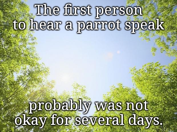 sunshine trees | The first person to hear a parrot speak; probably was not okay for several days. | image tagged in sunshine trees | made w/ Imgflip meme maker