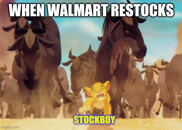 Walmart restocks | WHEN WALMART RESTOCKS; STOCKBOY | image tagged in lion king stampede,walmart,covid-19,corona virus,toilet paper,hand sanitizer | made w/ Imgflip meme maker