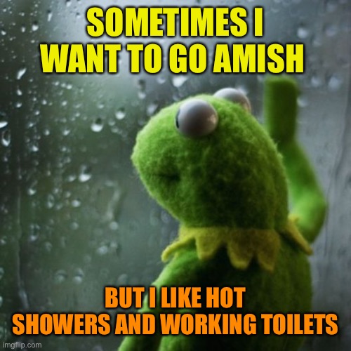 sometimes I wonder  | SOMETIMES I WANT TO GO AMISH BUT I LIKE HOT SHOWERS AND WORKING TOILETS | image tagged in sometimes i wonder | made w/ Imgflip meme maker