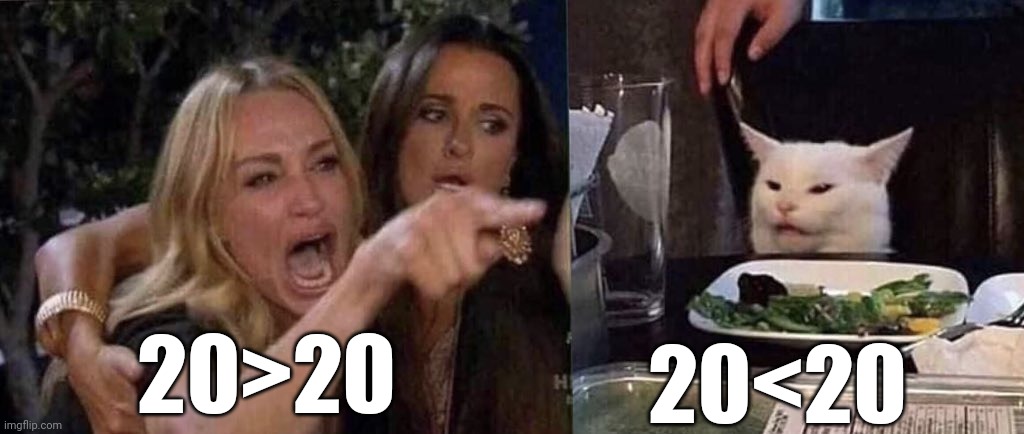 woman yelling at cat | 20>20 20<20 | image tagged in woman yelling at cat | made w/ Imgflip meme maker