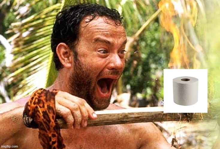 I don't know whether or not to laugh or cry during this movie...... | image tagged in corona virus,castaway,tom hanks,no more toilet paper | made w/ Imgflip meme maker